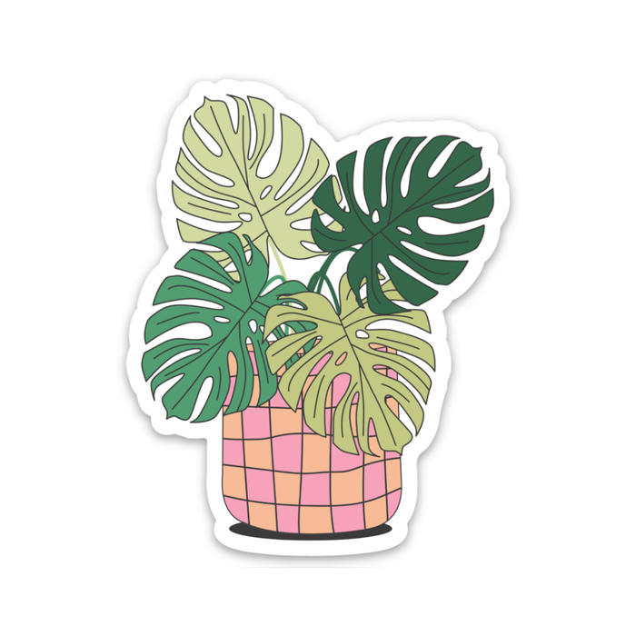 Monstera Plant Sticker