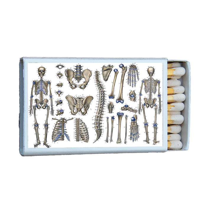 Anatomy Osteography Matchbox
