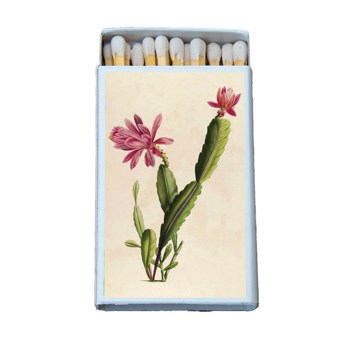 Cactus with Pink Flower Matchbox