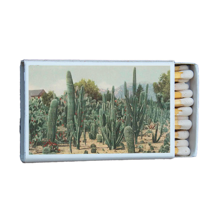 Cactus Garden Matchbox
