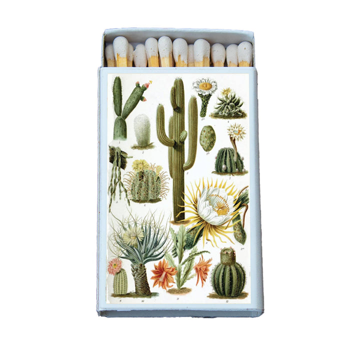 Cactus Variety Matchbox