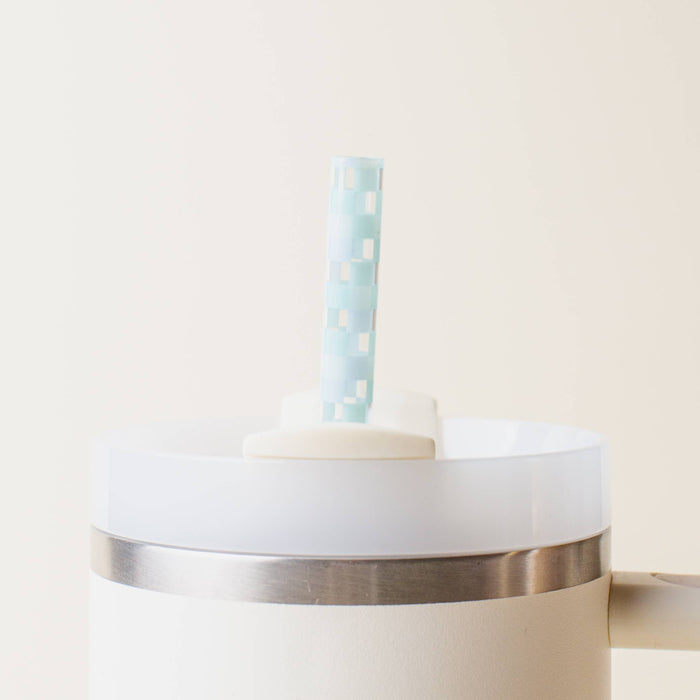 Tumbler Straw Set-Check Blue