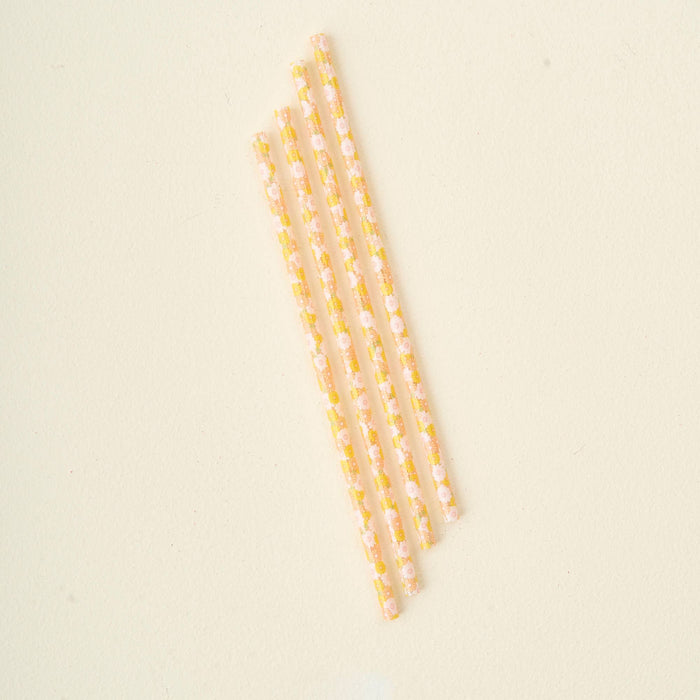 Tumbler Straw Set-Daisy Craze Peach