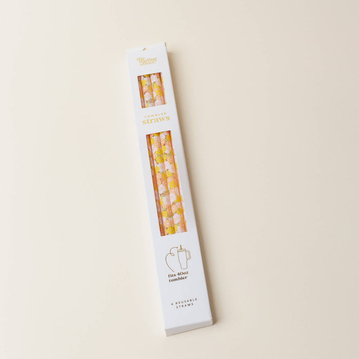 Tumbler Straw Set-Daisy Craze Peach