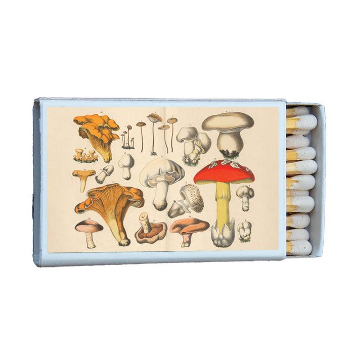 Mushroom Variety Matchbox