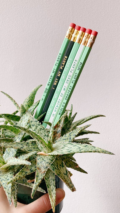 PLEASE ASK ME ABOUT MY PLANTS Pencil