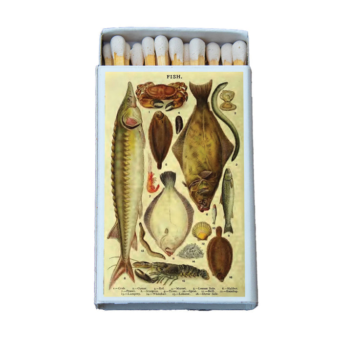 Fish Variety Matchbox
