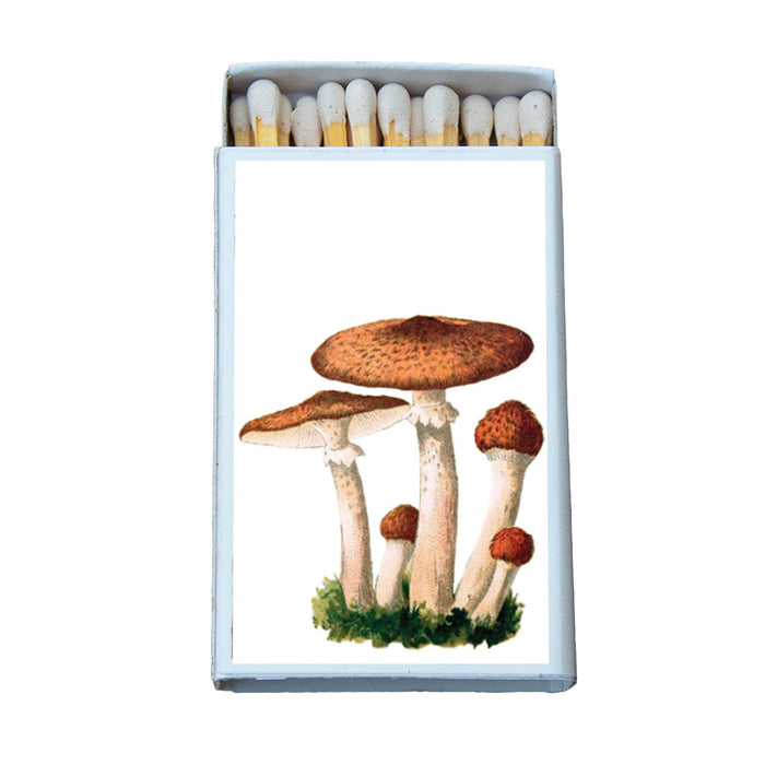 Mushroom Cluster Matchbox